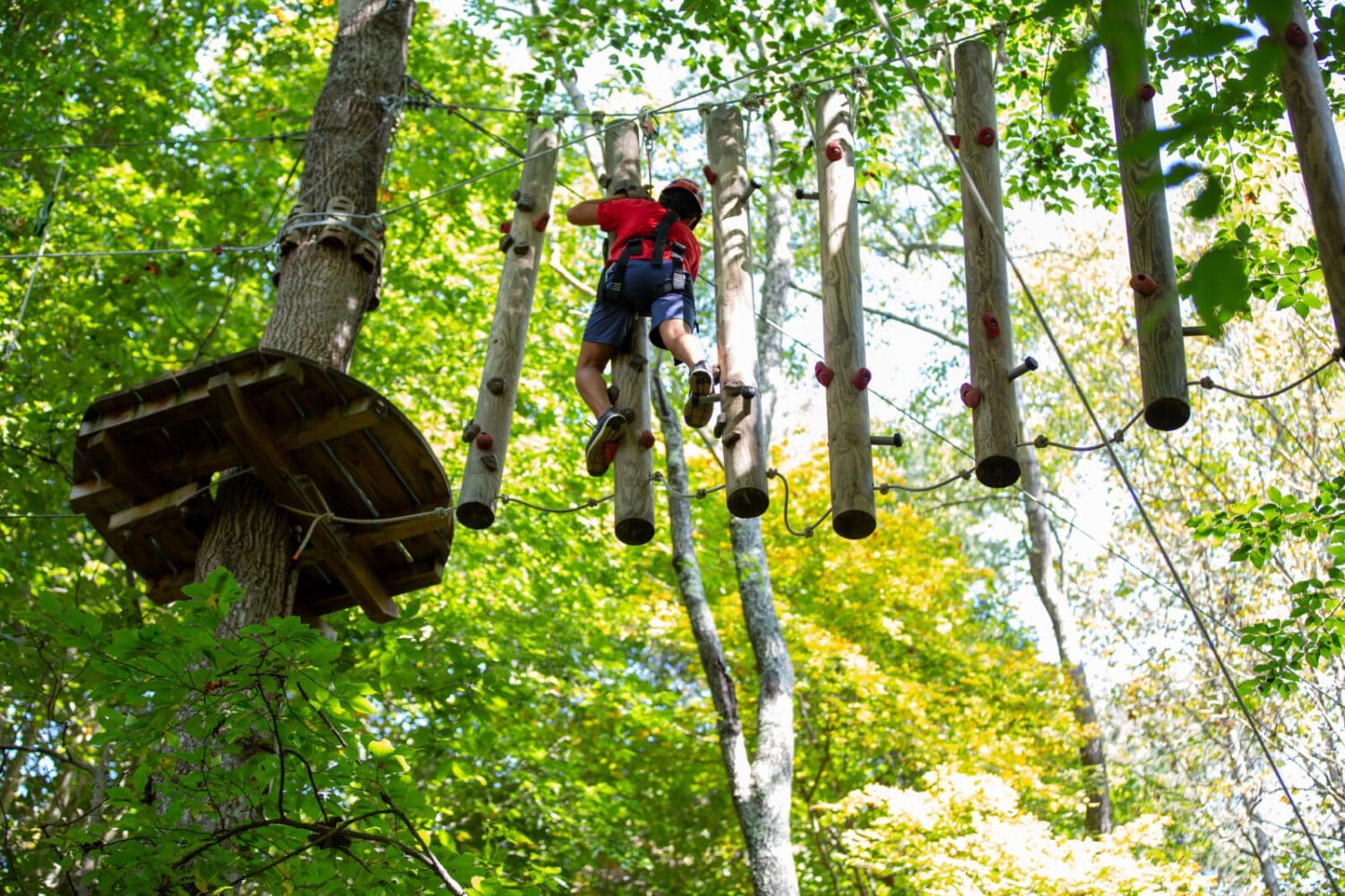 Student on a high-ropes course